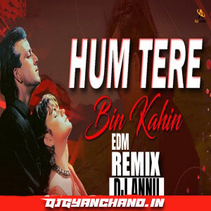 Hum Tere Bin - EDM Love Remix Mp3 - DJ Annu Gopiganj Hum Tere Bin - EDM Love Remix Mp3 - DJ Annu Gopiganj